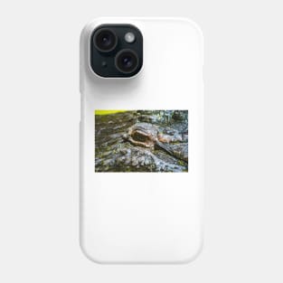 Alligator eye Phone Case