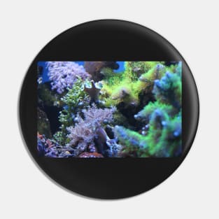 Coral Pin