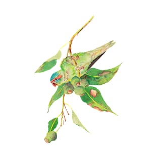 Musk lorikeet and gumtree branch with gumnuts watercolour painting T-Shirt