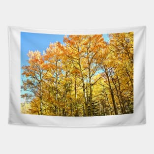 Fall Colors and Aspen Trees in Colorado Tapestry