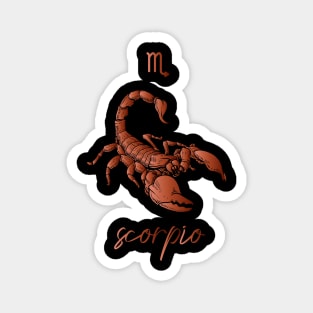 Scorpio Zodiac Magnet