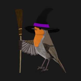 Robin Witch Bird Funny Halloween Ornithologist Gift T-Shirt