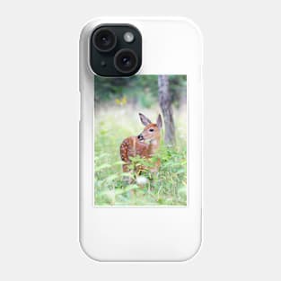 White-tailed fawn in the forest Phone Case