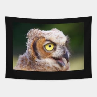 Owl Tapestry