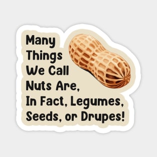 Many Things We Call Nuts Are, In Fact, Legumes Seeds or Drupes! Magnet