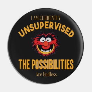 I am currently unsupervised I know it freaks me out too but possibilities are endless Pin