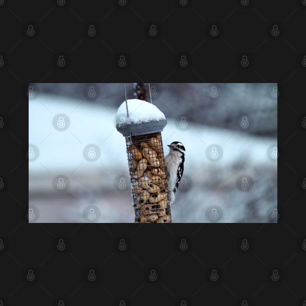 Winter Downy Woodpecker Peanut Bird Feeder by BackyardBirder