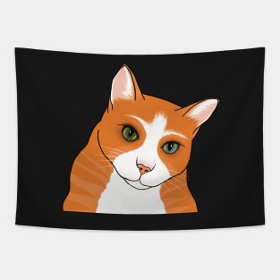 The Cute Ginger cat watching you seems a bit worried Tapestry