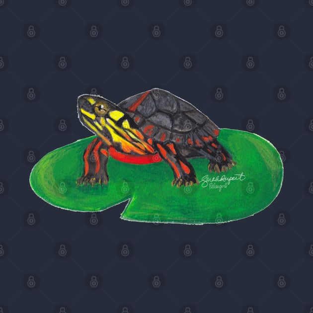 Painted Turtle Baby by Peleegirl