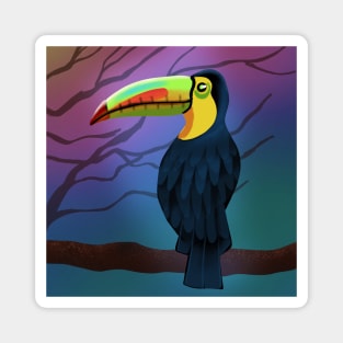 Colorful Toucan Bird Magnet