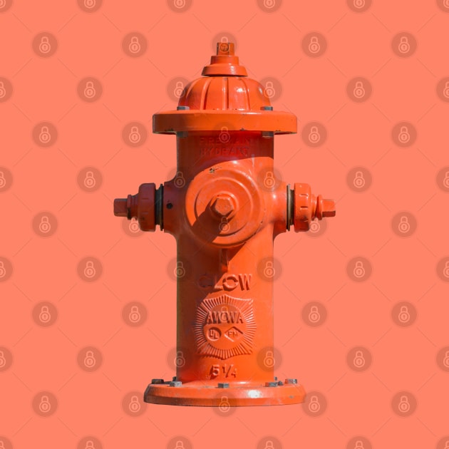 Orange Clow Medallion Fire Hydrant by Enzwell