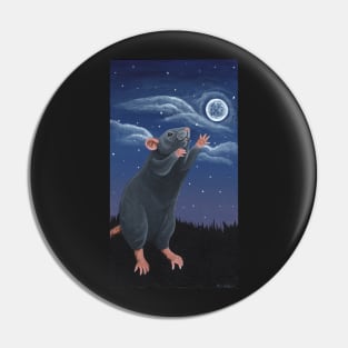 Reach for the Moon Pin