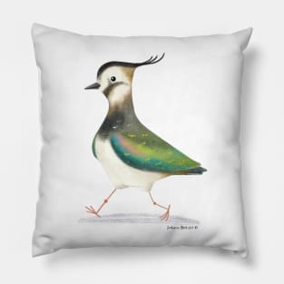 Lapwing Bird Pillow