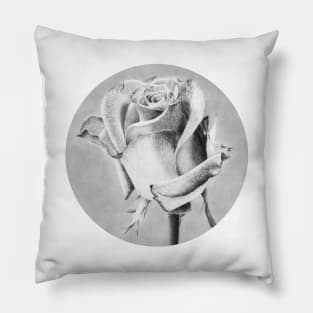 Rose, Queen of Flowers Pillow