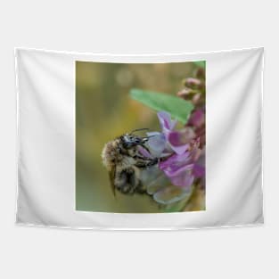 Bee 13 Tapestry