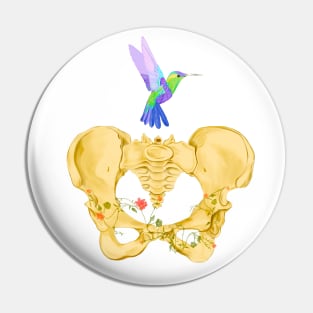 Bones of female pelvis with hummingbird in watercolor Pin