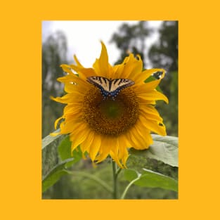 Sunflower with Butterfly T-Shirt