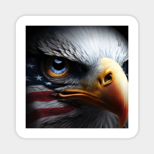 USA, Bald Eagle, America, American Flag, Magnet