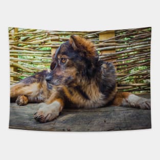 mongrel Tapestry