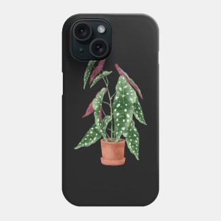 Begonia maculata plant | Polka dot plant Phone Case