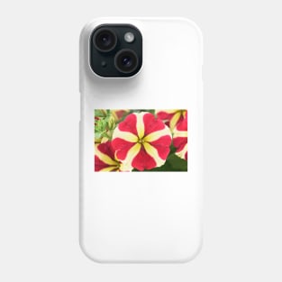 Petunia Amore Queen of Hearts Amore series Phone Case