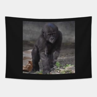 Western Lowland Gorilla Tapestry