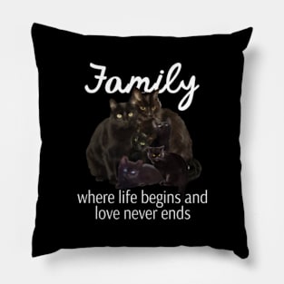 family where life begins and love never ends Pillow