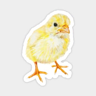 Yellow Baby Chick Magnet