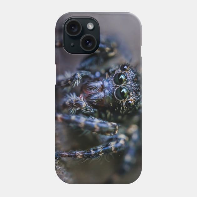 Teeny-Tiny Dark Jumping Spider Macro Photograph Phone Case by love-fi