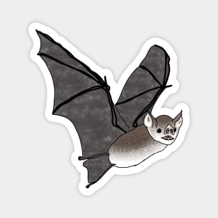 Vampire bat animal Magnet