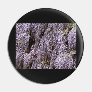 Wisteria Cascades Pin