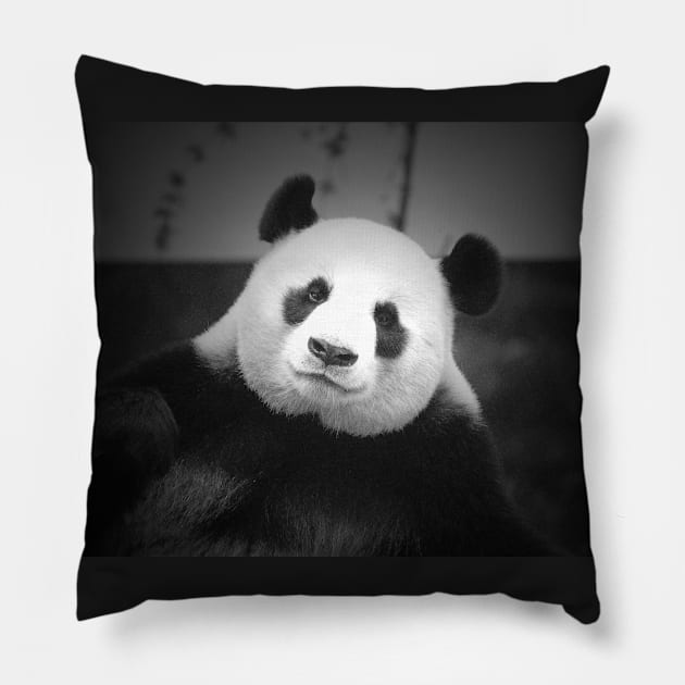 Giant Panda Pillow by LeanneAllen