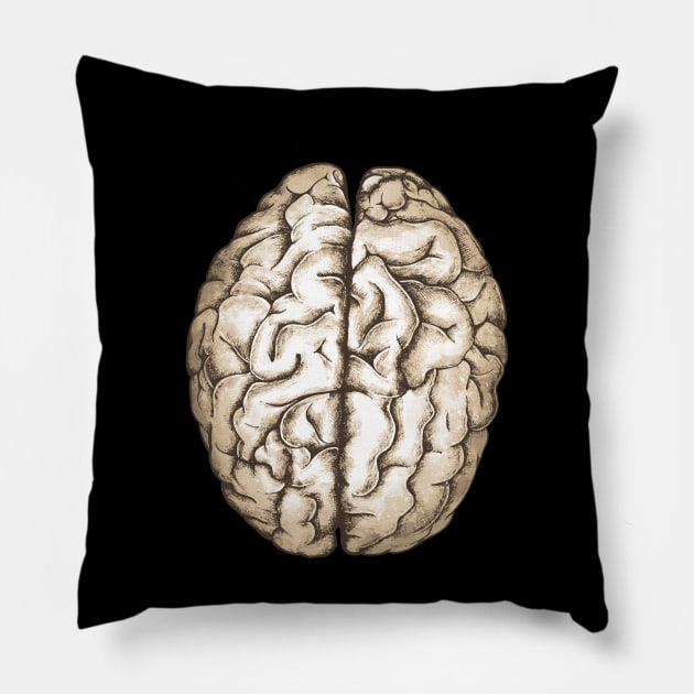 Brain human anatomy,vintage style, mental, watercolor Pillow by Collagedream