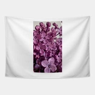 Floral Pattern 8 Tapestry