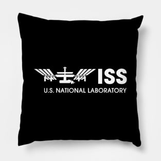 ISS - US National Laboratory Pillow