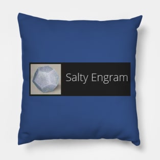 Forsaken Salty Engram Pillow