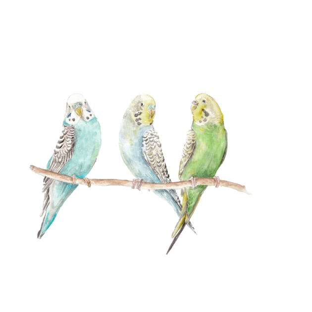 Parakeets by wanderinglaur