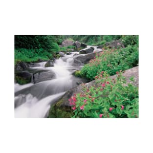 Paradise River Surrounded By Spring Flowers Mt Rainier National Park T-Shirt