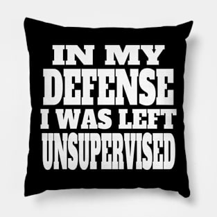 In My Defense I Was Left Unsupervised,,, Pillow