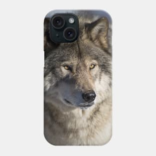 Timber Wolf Phone Case