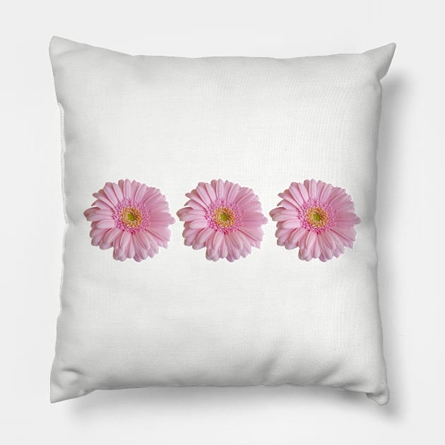 Three Pink Gerberas Floral Photo Pillow by ellenhenryart