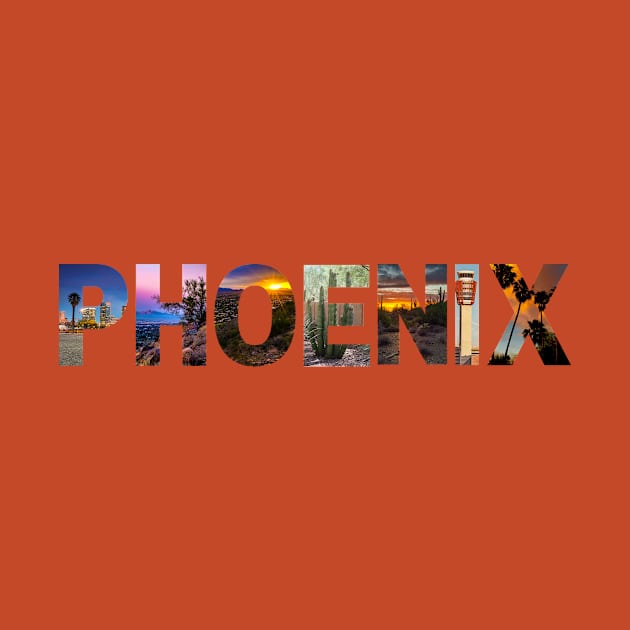 PHOENIX by Ivy Lark - Write Your Life