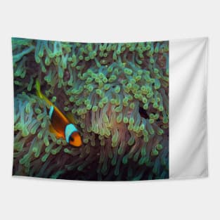 Clownfish in the Sea Anemone Tapestry