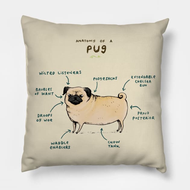 Anatomy of a Pug Pillow by Sophie Corrigan