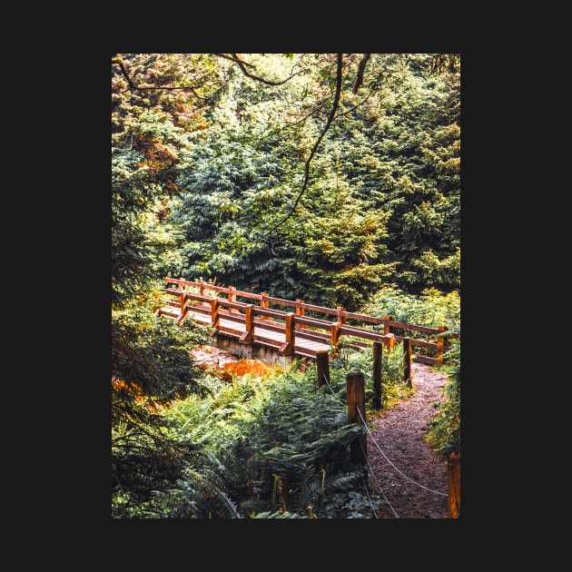 Bridge in the Forest-PNW Travel Photography-Oregon Coast by tonylonder