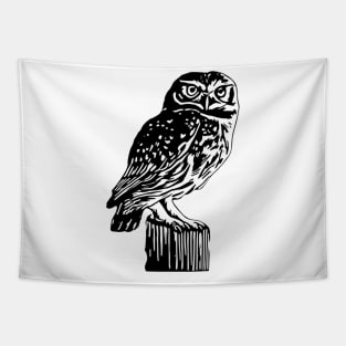 Owl Tapestry