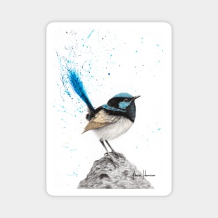 Mountain Blue Wren Magnet