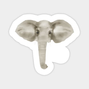 Elephant Magnet