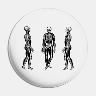 Side View Skeleton - Vintage Anatomy Pin