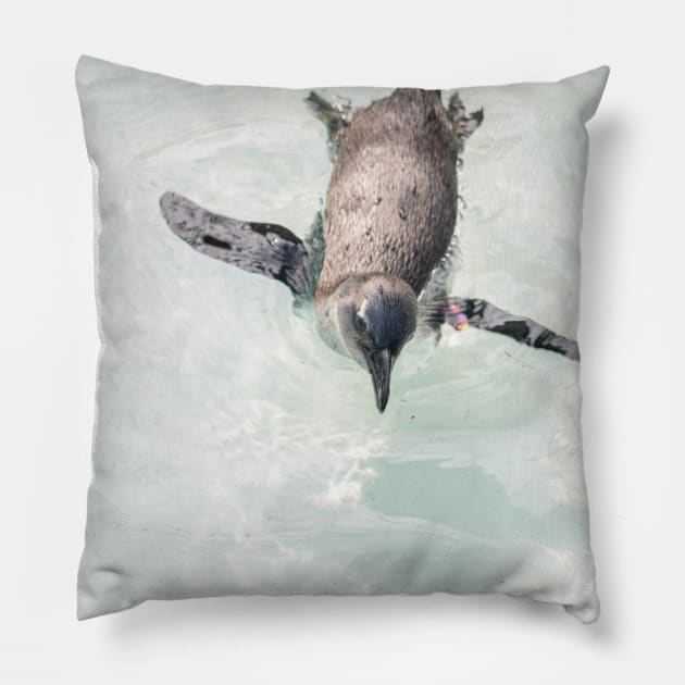 Penguin Pillow by DalalsDesigns